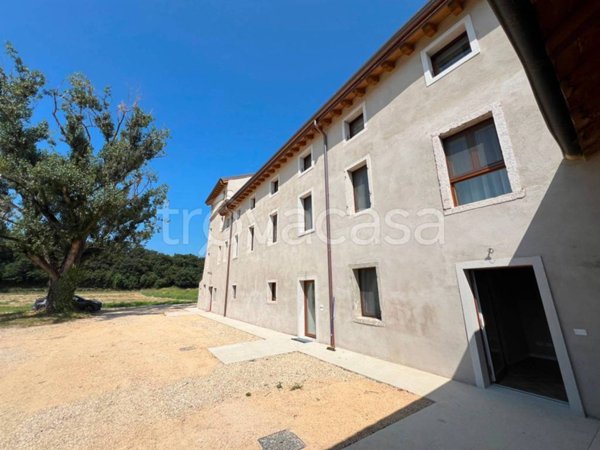 appartamento in affitto a Bardolino