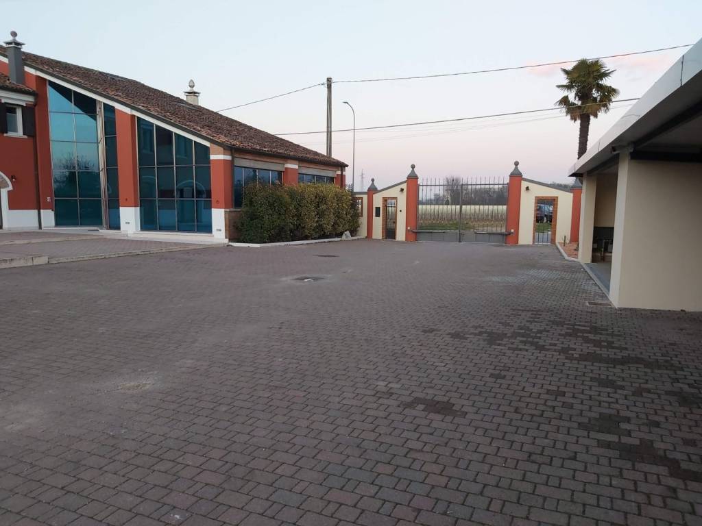 appartamento in affitto a Bovolone