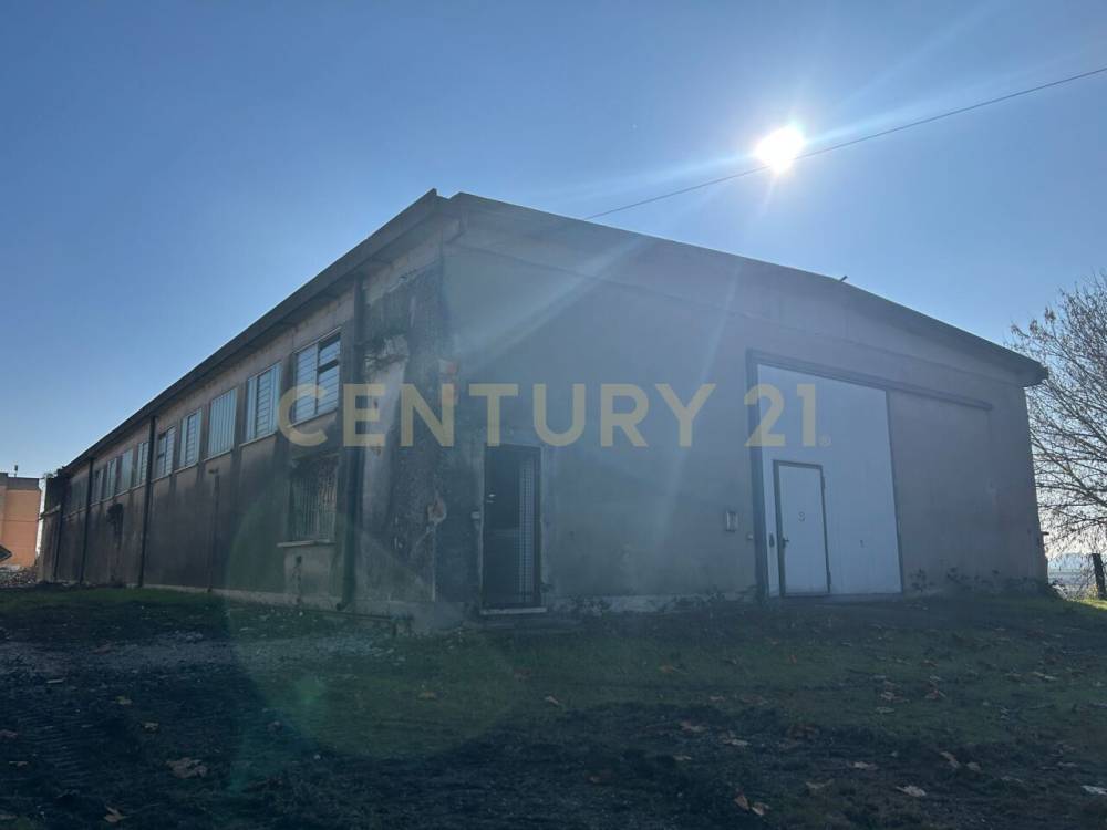 ufficio in affitto a Bovolone