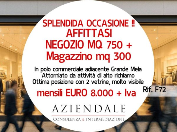 negozio in affitto a Bussolengo