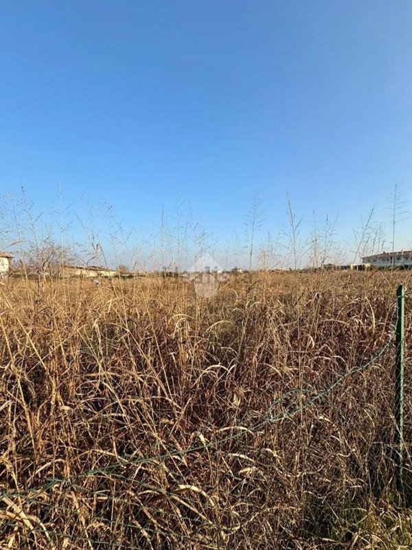 terreno agricolo in affitto a Bussolengo in zona San Vito