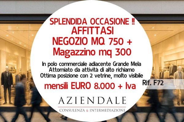 negozio in affitto a Bussolengo in zona San Vito