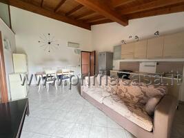 appartamento in affitto a Cerea
