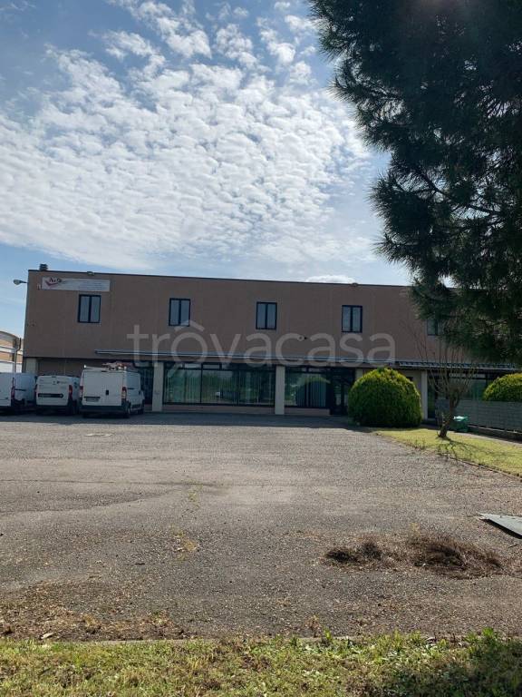 locale commerciale in affitto a Cerea