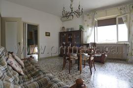 appartamento in affitto a Cerea