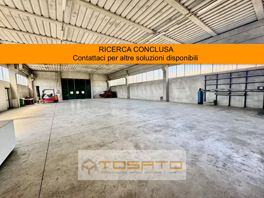 appartamento in affitto a Cerea