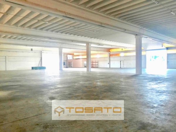 capannone in affitto a Cerea