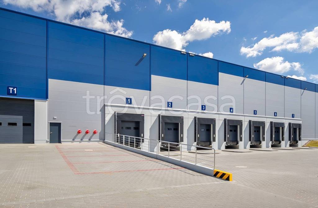 locale commerciale in affitto a Cologna Veneta