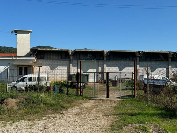 appartamento in affitto a Colognola ai Colli in zona San Vittore