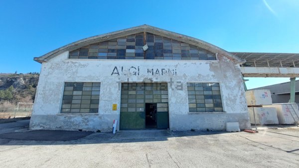 capannone in affitto a Dolcè
