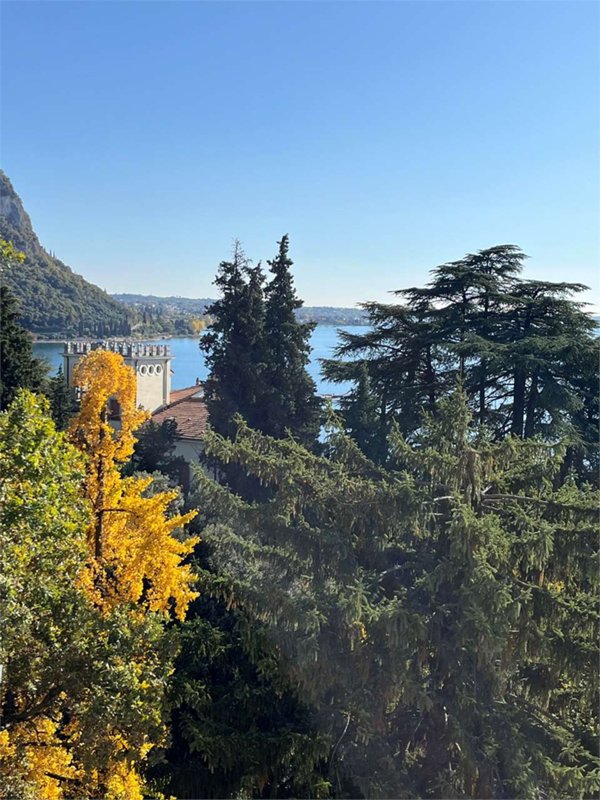 negozio in affitto a Garda