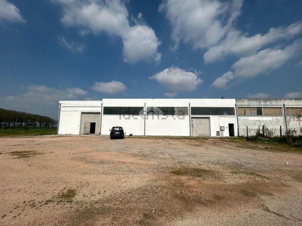 bivano in affitto ad Isola Rizza