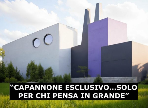 capannone in affitto ad Isola Rizza