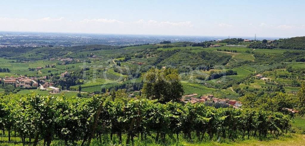 appartamento in affitto a Lavagno