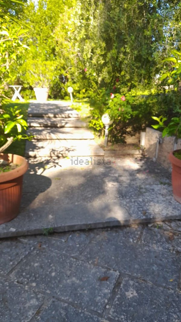 appartamento in affitto a Lazise