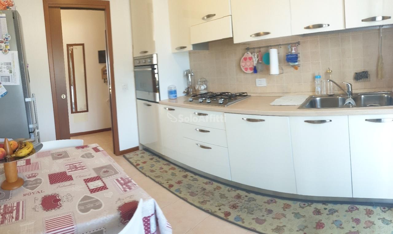 appartamento in affitto a Legnago in zona Terranegra