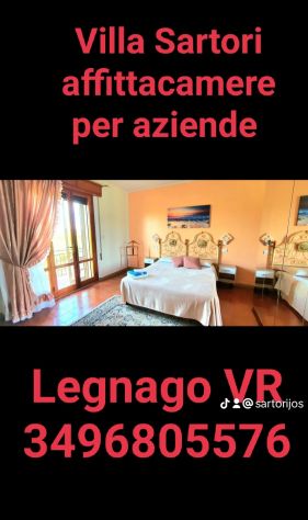camera singola in affitto a Legnago