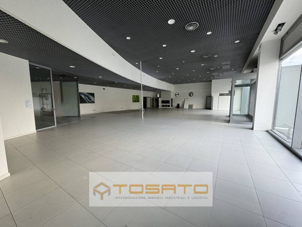 negozio in affitto a Legnago