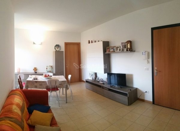 appartamento in affitto a Legnago