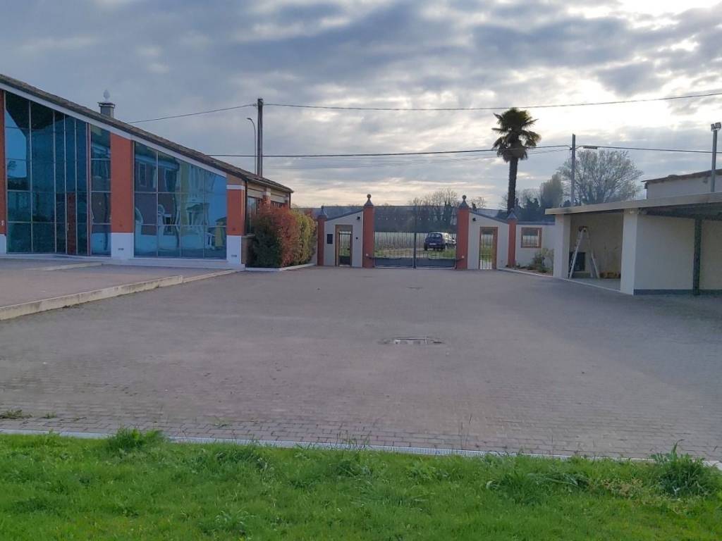 appartamento in affitto a Legnago