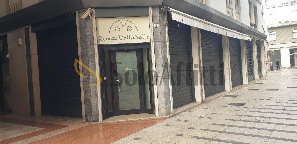 appartamento in affitto a Legnago in zona Porto