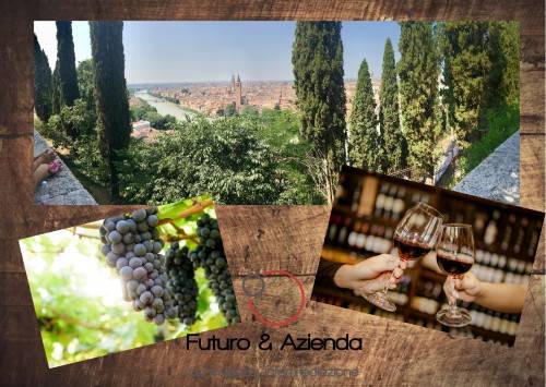 quadrivano in affitto a Negrar di Valpolicella