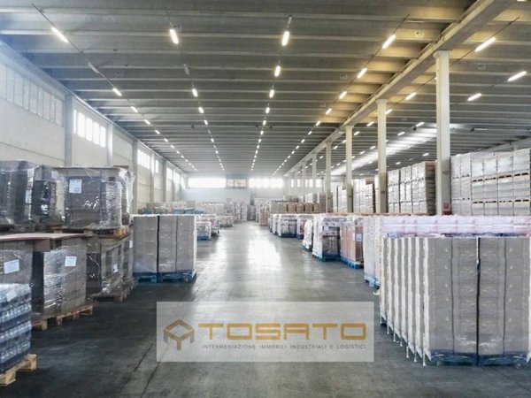 locale commerciale in affitto a Nogara