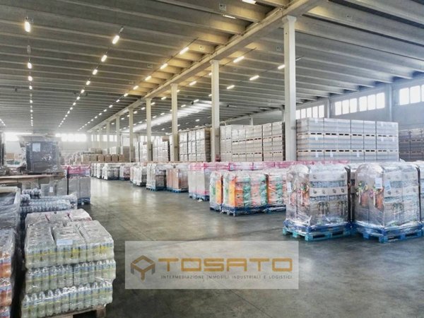 locale commerciale in affitto a Nogara