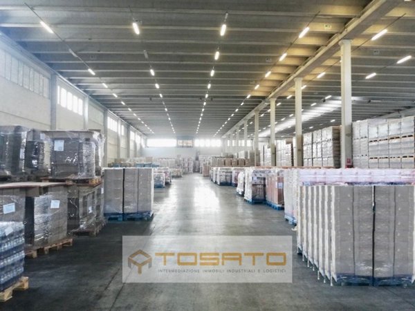 locale commerciale in affitto a Nogara