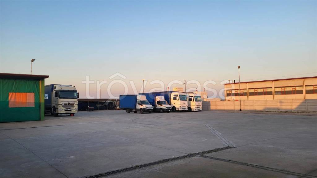 locale commerciale in affitto a Nogara