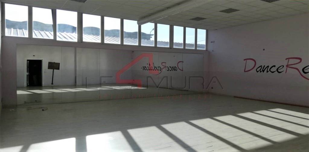 negozio in affitto a Nogara