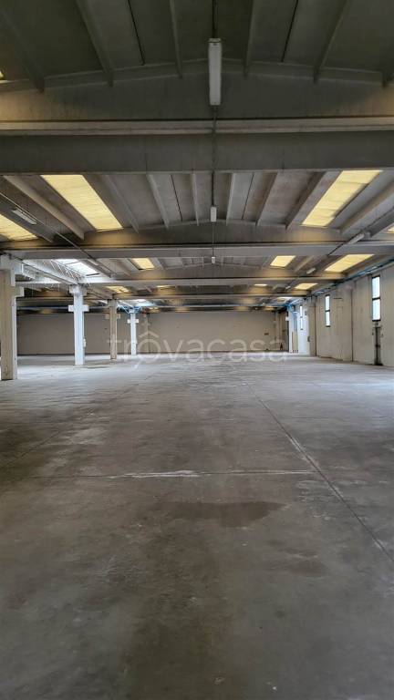 capannone in affitto a Nogara