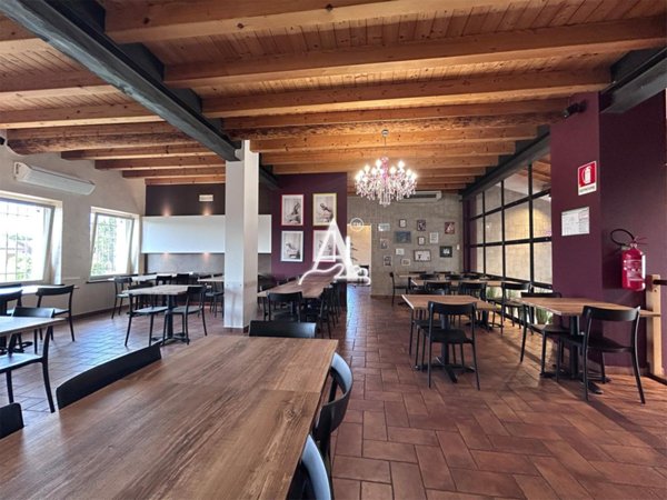 appartamento in affitto a Nogara