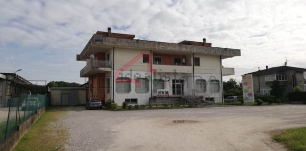 negozio in affitto a Nogara