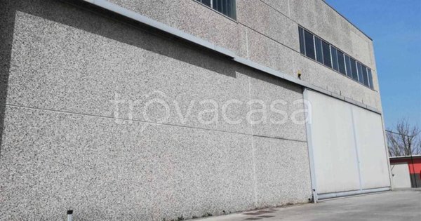 locale commerciale in affitto a Nogara