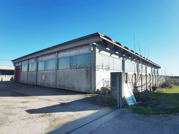 locale commerciale in affitto a Nogara