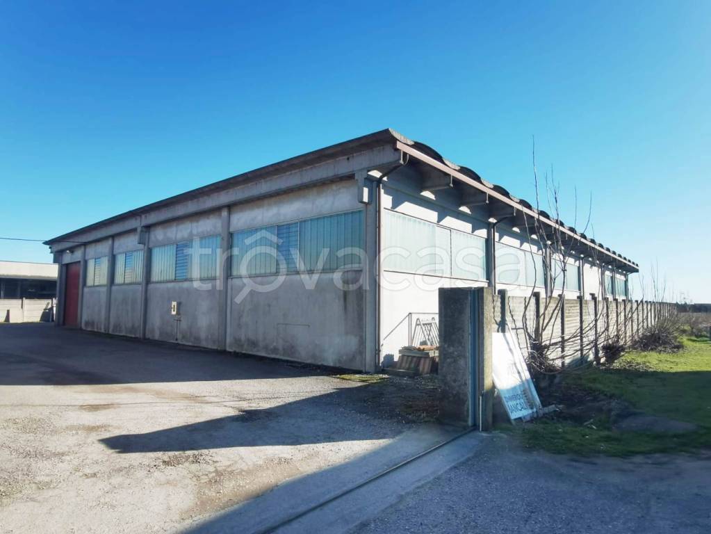 locale commerciale in affitto a Nogara