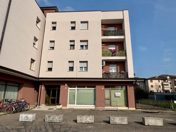 negozio in affitto a Nogara