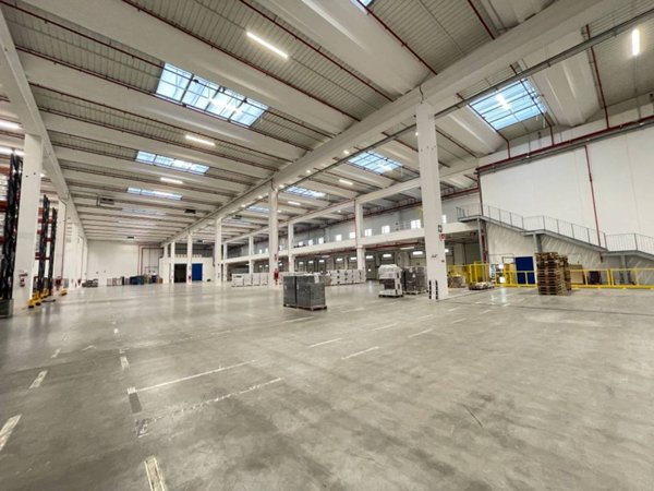 locale commerciale in affitto ad Oppeano