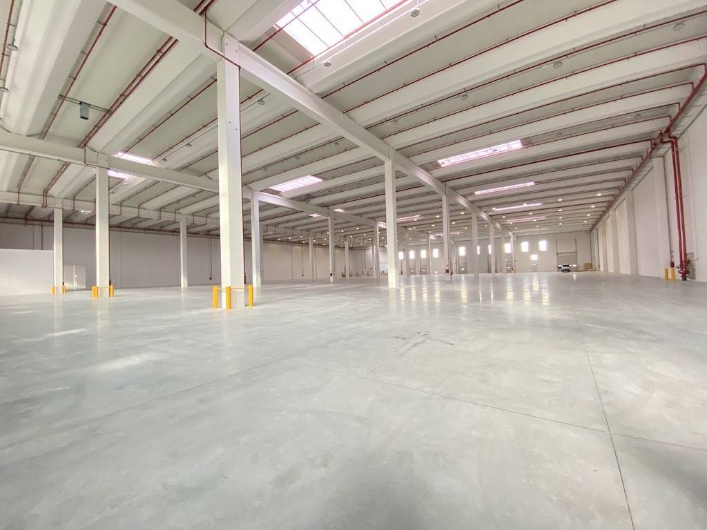 locale commerciale in affitto ad Oppeano