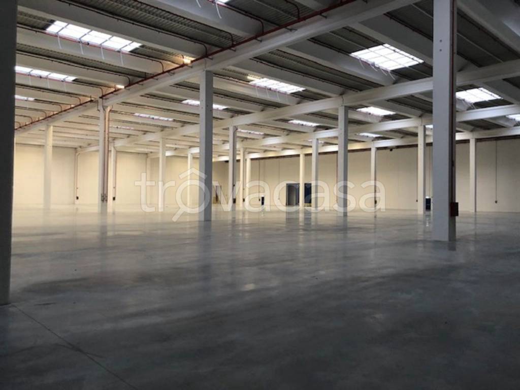 locale commerciale in affitto ad Oppeano