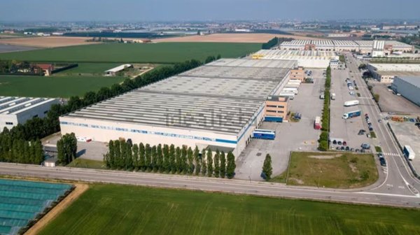 locale di sgombero in affitto ad Oppeano