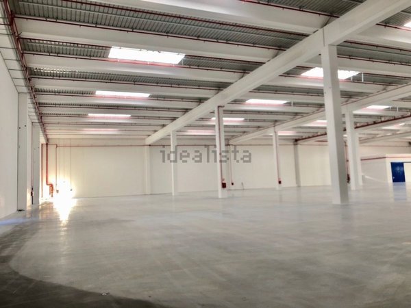 capannone in affitto ad Oppeano