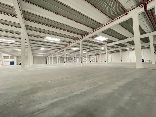 locale di sgombero in affitto ad Oppeano