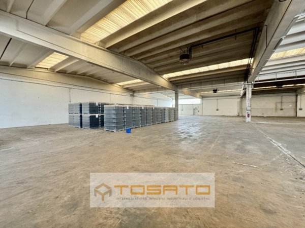 capannone in affitto ad Oppeano