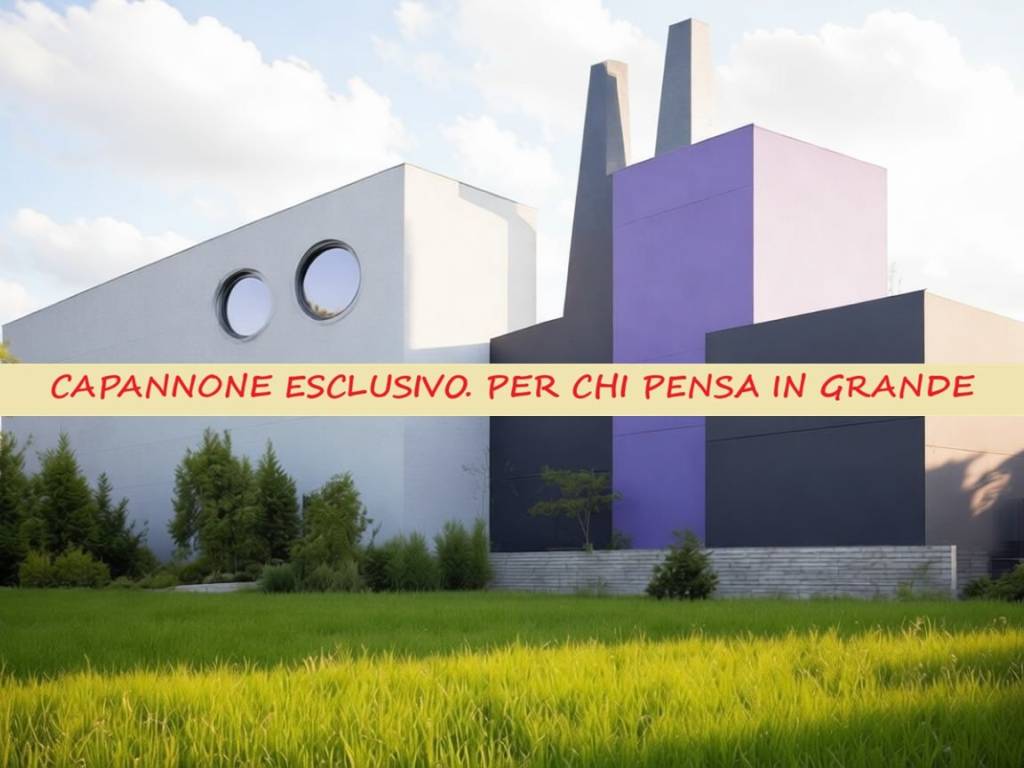 locale commerciale in affitto ad Oppeano