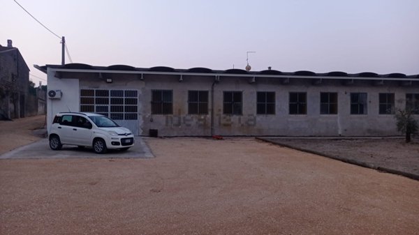 capannone in affitto ad Oppeano