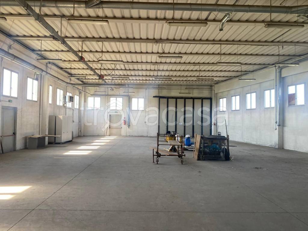 locale commerciale in affitto ad Oppeano