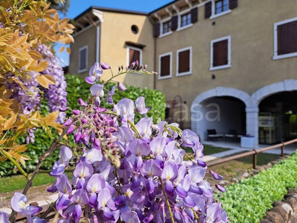 appartamento in affitto a Pescantina