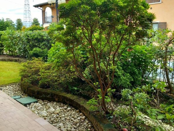 appartamento in affitto a Pescantina